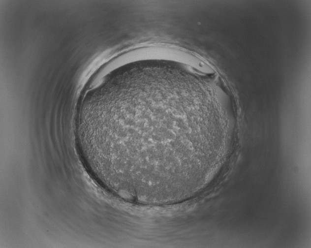 X0000076380007200611031641