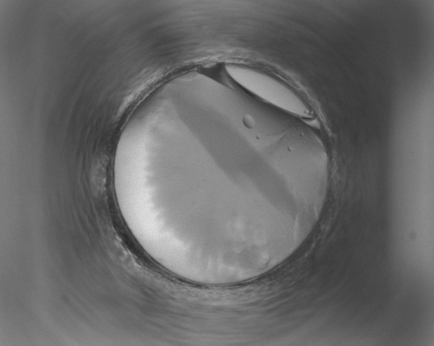 X0000076380010200611031641