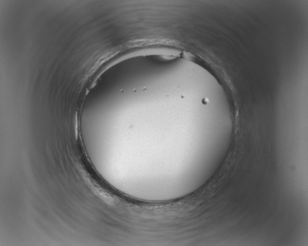 X0000076380013200611031641