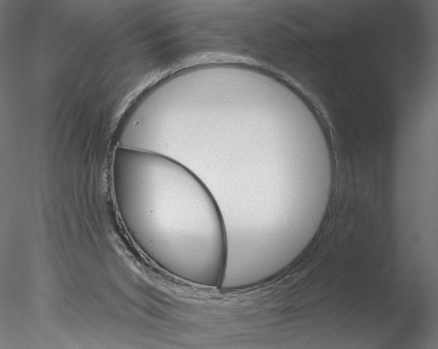 X0000076380015200611031641