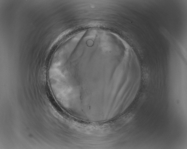 X0000076380016200611031641