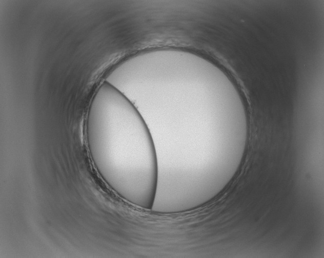 X0000076380019200611031641