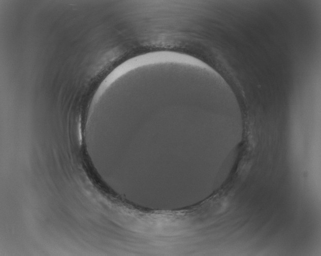 X0000076380020200611031641