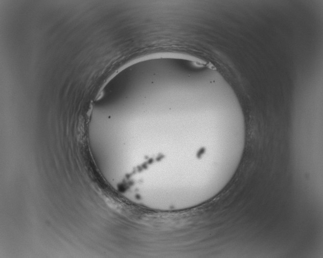 X0000076380025200611031641