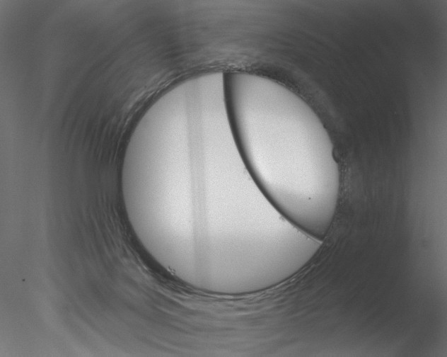 X0000076380027200611031641