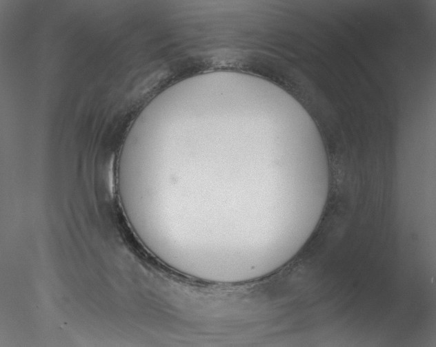 X0000076380028200611031641