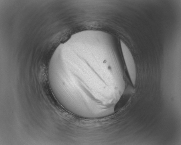 X0000076380029200611031641