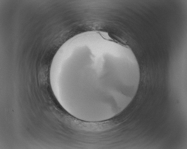 X0000076380030200611031641