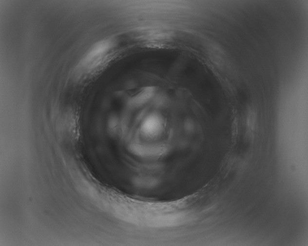 X0000076380031200611031641