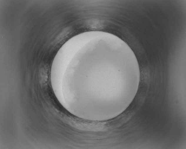 X0000076380032200611031641