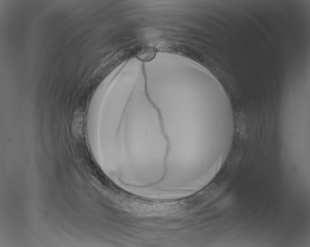 X0000076380036200611031641