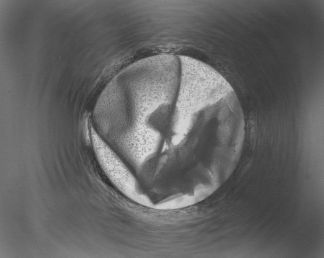 X0000076380042200611031641