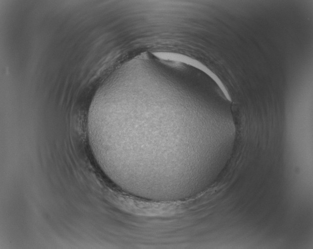 X0000076380044200611031641