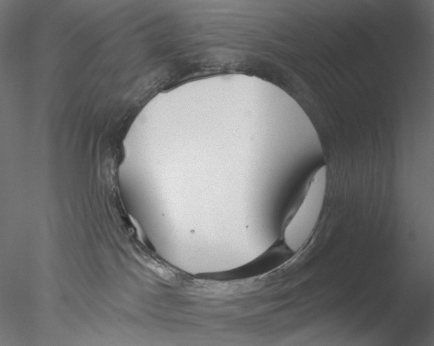 X0000076380045200611031641