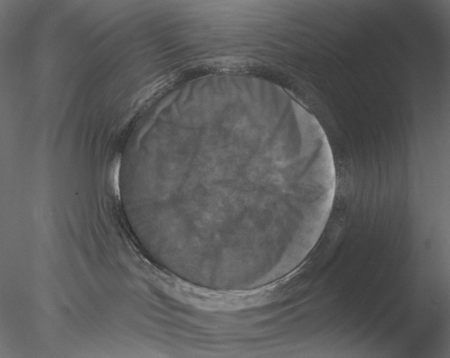 X0000076380047200611031640