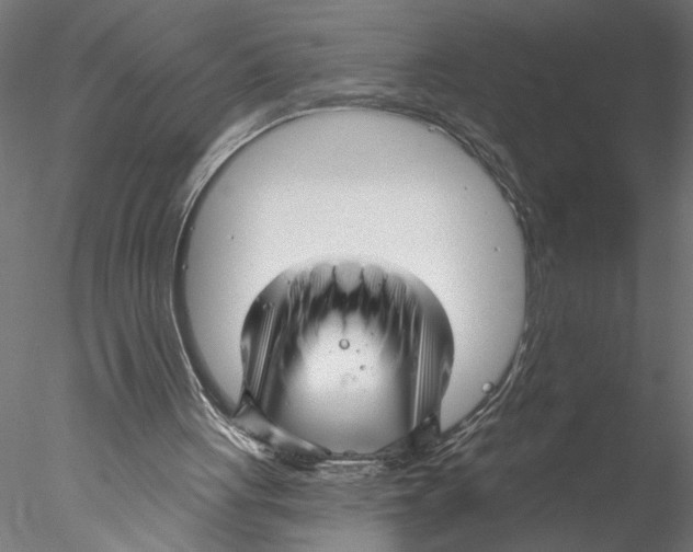 X0000076380051200611031640