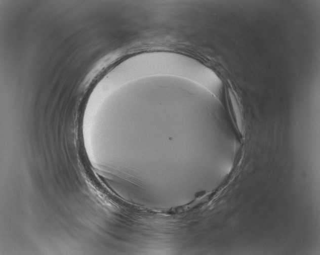 X0000076380054200611031640