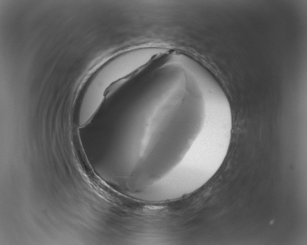 X0000076380055200611031640