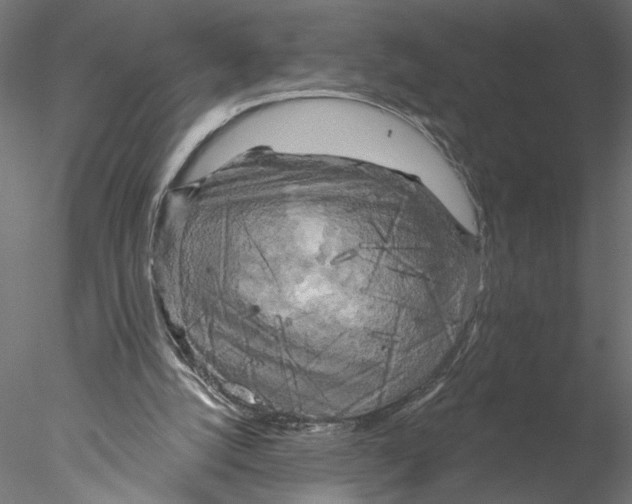 X0000076380056200611031640