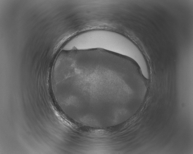 X0000076380058200611031640