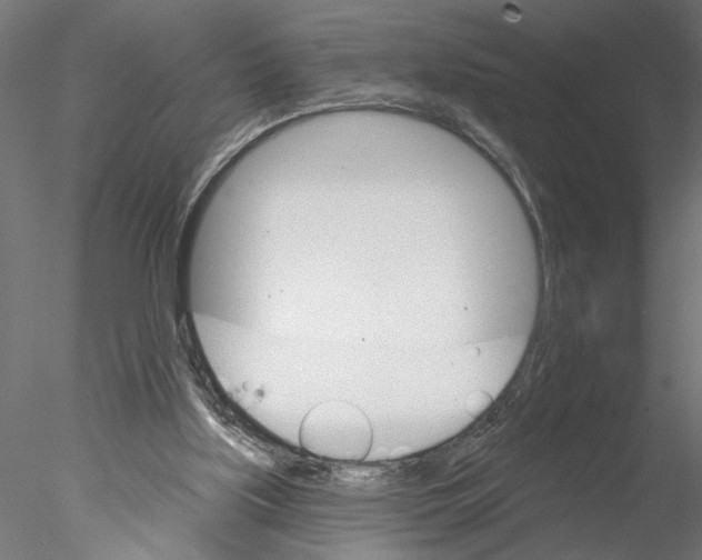 X0000076380059200611031640