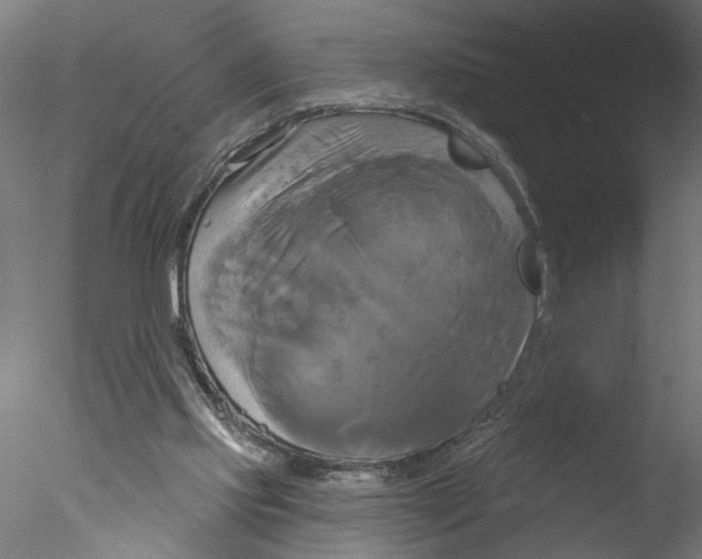 X0000076380061200611031640