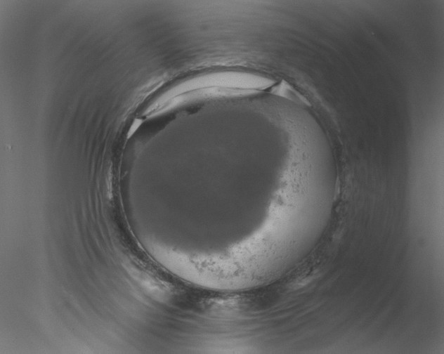 X0000076380068200611031640