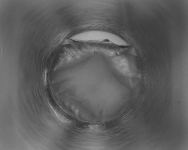 X0000076380070200611031640