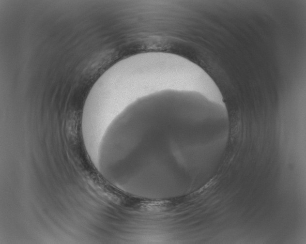 X0000076380078200611031640