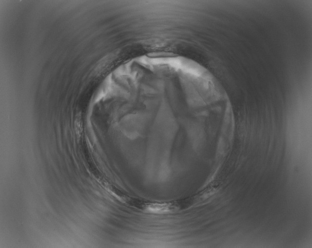 X0000076380085200611031640