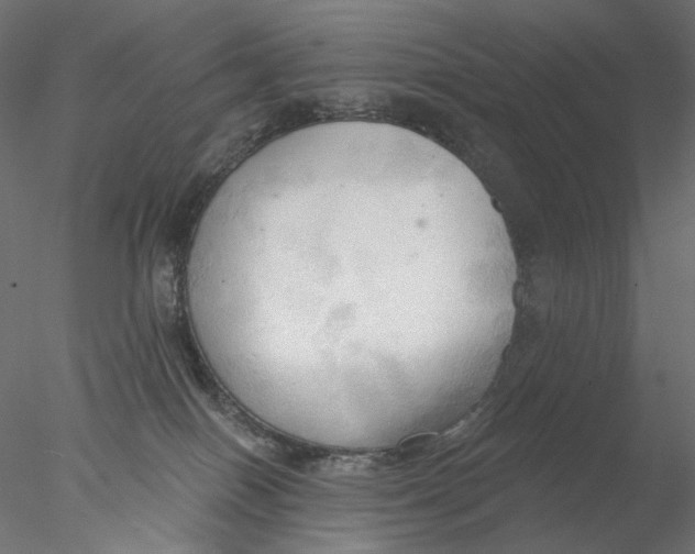 X0000076380086200611031640