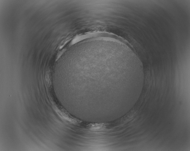 X0000076380088200611031640