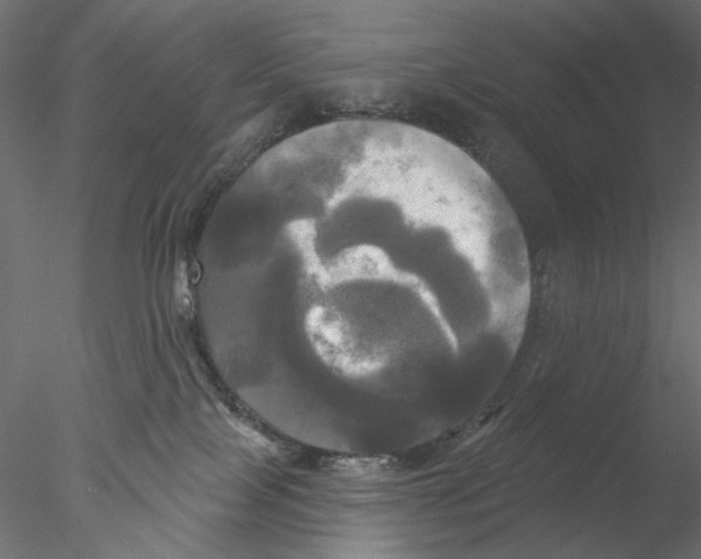 X0000076380089200611031640