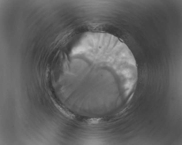 X0000076380090200611031640