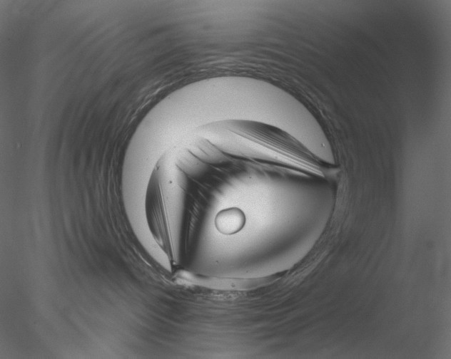 X0000076380096200611031640