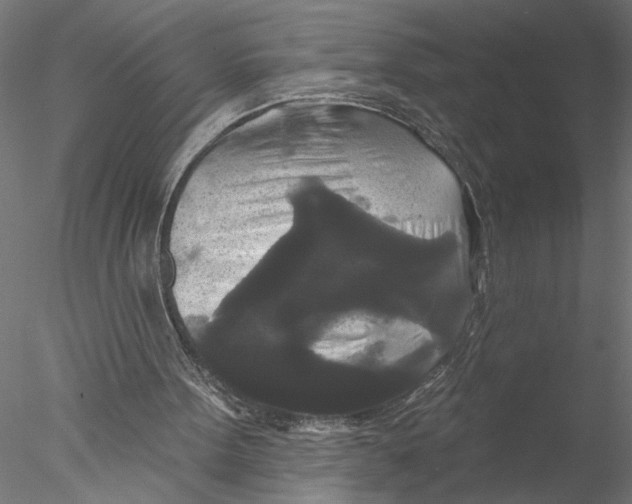 X0000076380099200611031640