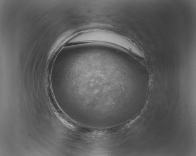 X0000076380101200611031640