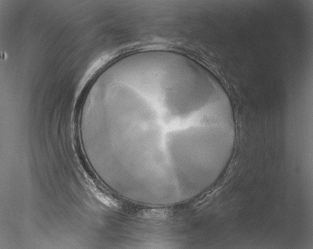 X0000076380102200611031640