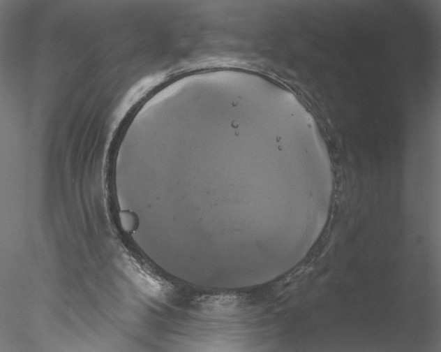 X0000076380104200611031640