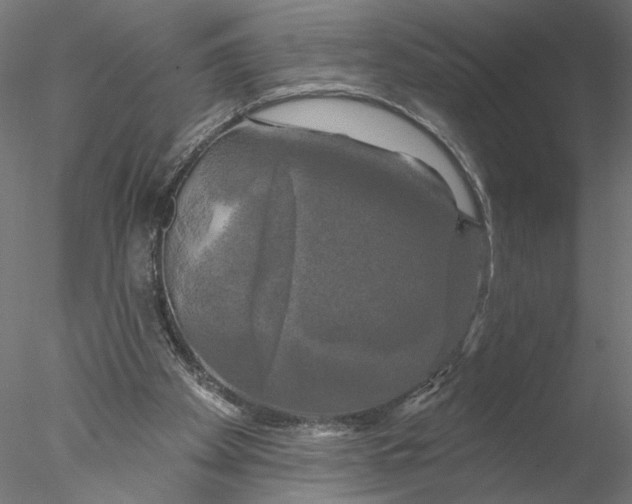 X0000076380105200611031640