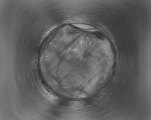 X0000076380107200611031639