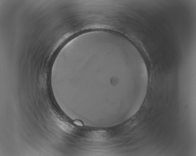 X0000076380108200611031639