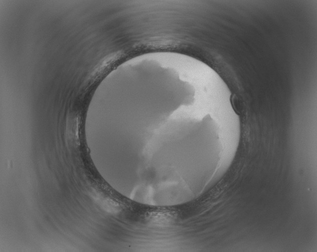 X0000076380115200611031639