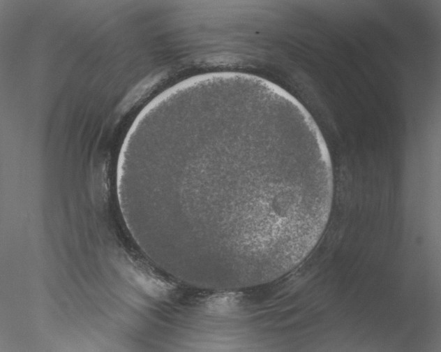 X0000076380116200611031639