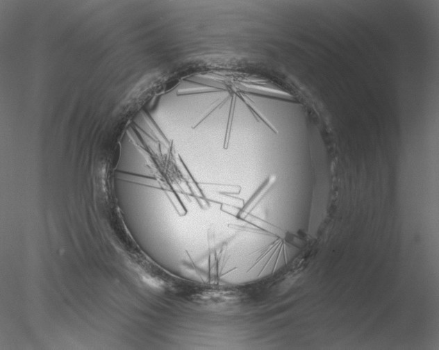 X0000076380117200611031639