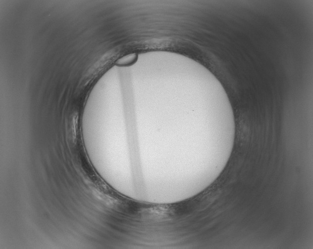 X0000076380118200611031639