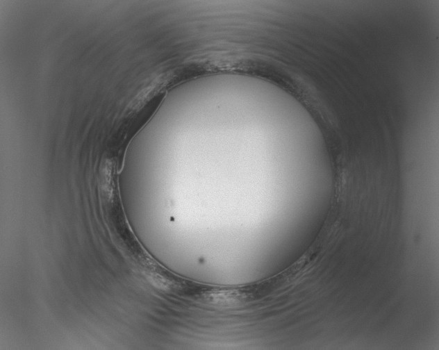 X0000076380121200611031639