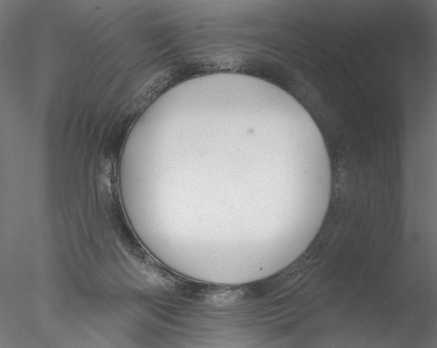 X0000076380122200611031639