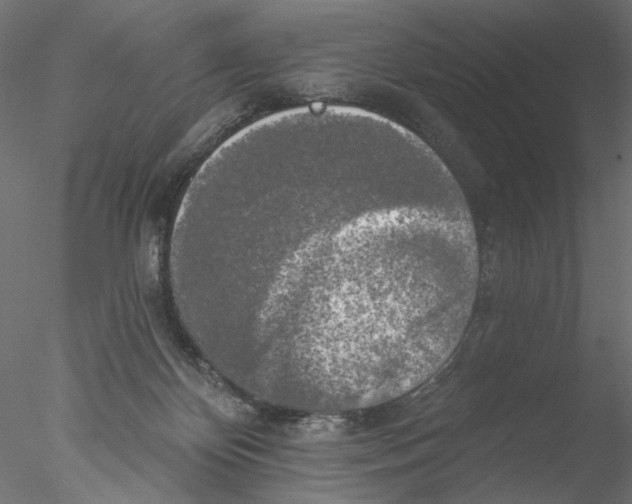 X0000076380124200611031639