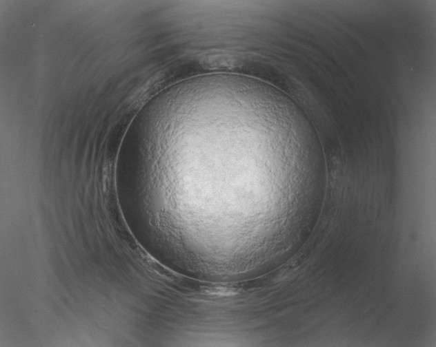 X0000076380125200611031639